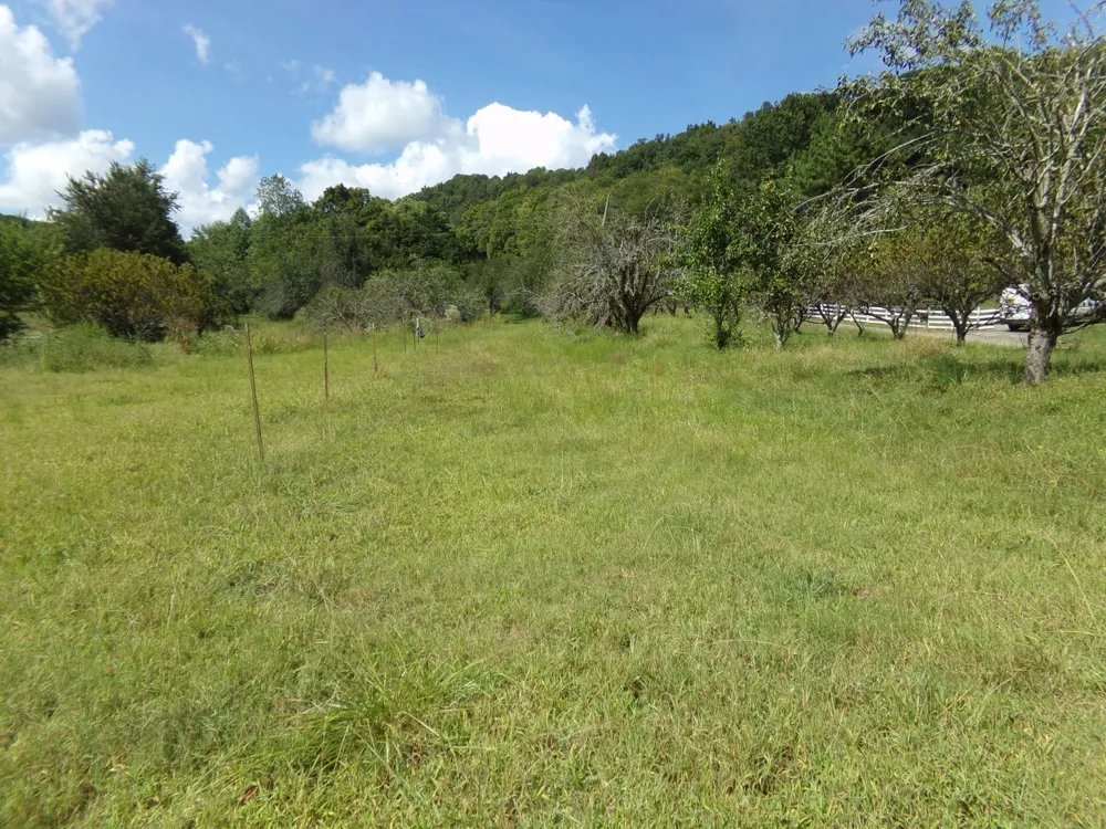 2966 Monte Murrey Rd Lewisburg, TN 37091