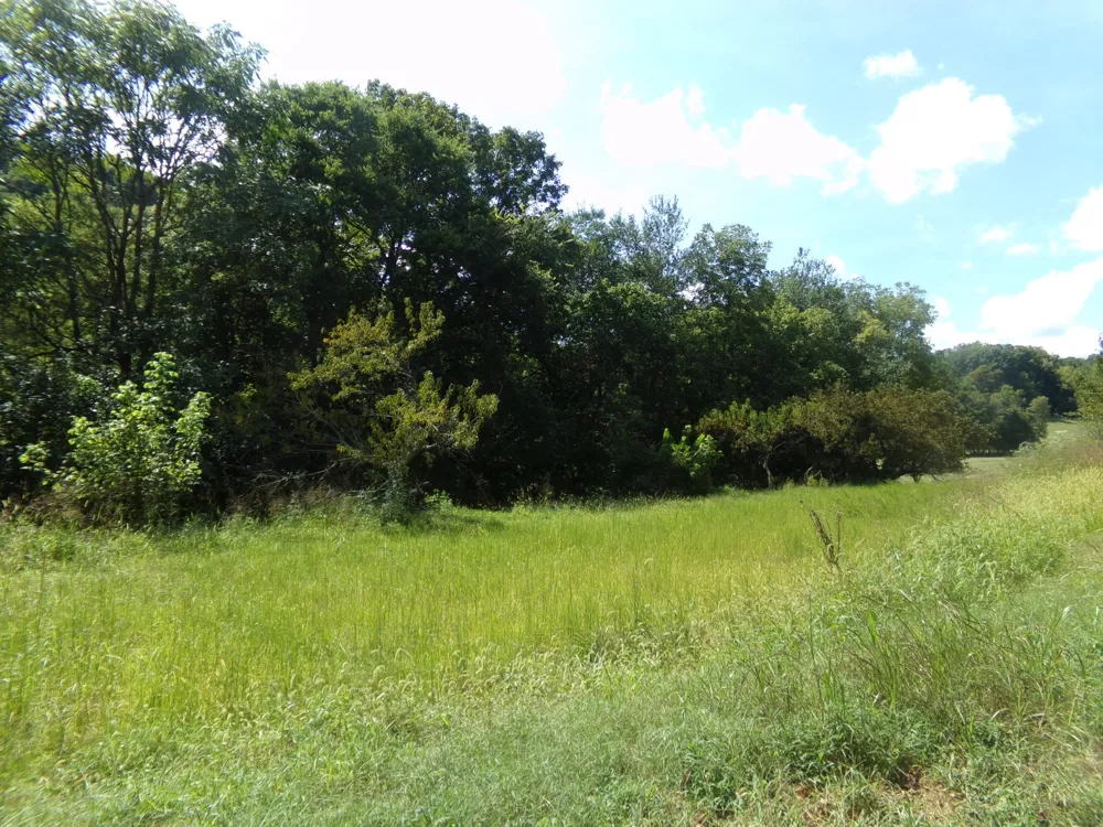2966 Monte Murrey Rd Lewisburg, TN 37091