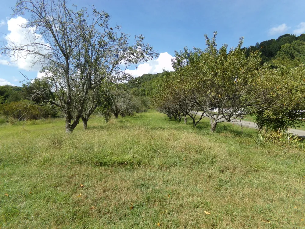 2966 Monte Murrey Rd Lewisburg, TN 37091