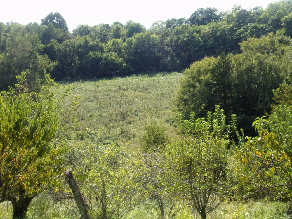 2966 Monte Murrey Rd Lewisburg, TN 37091