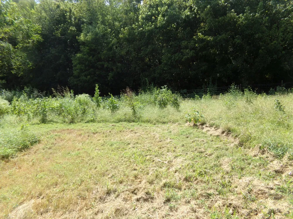 2966 Monte Murrey Rd Lewisburg, TN 37091