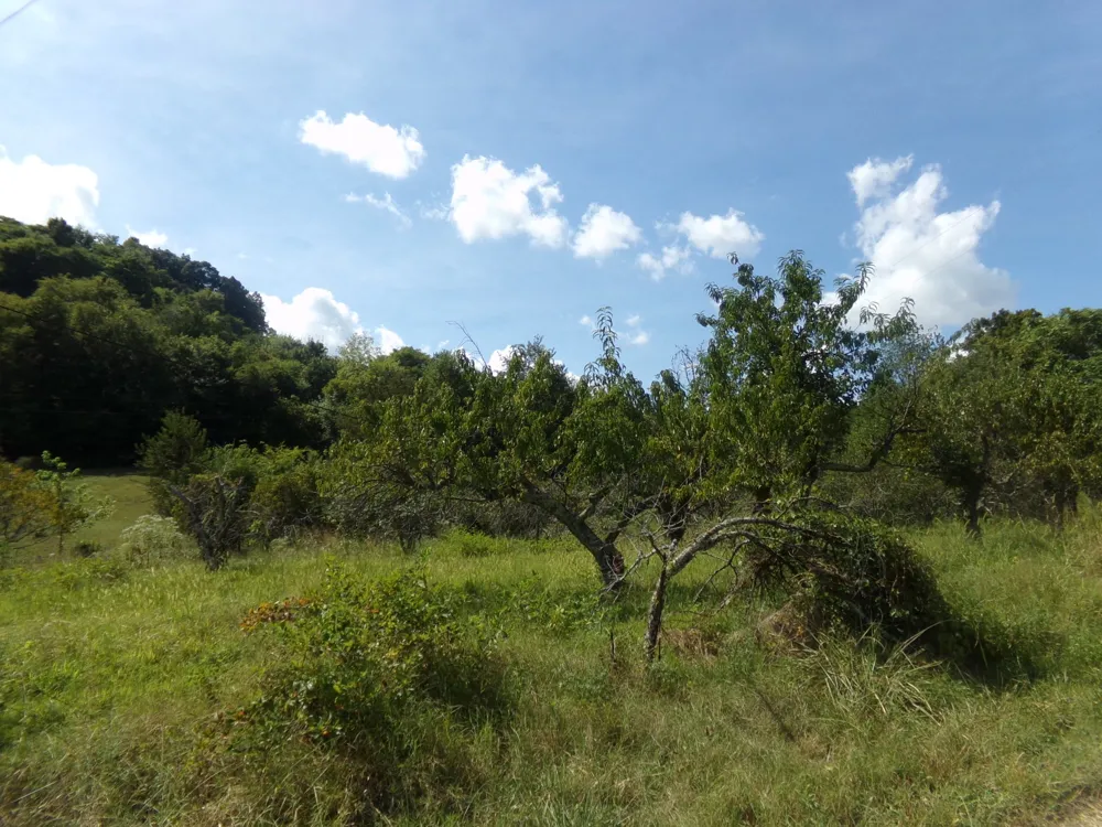 2966 Monte Murrey Rd Lewisburg, TN 37091