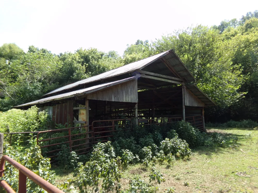 2966 Monte Murrey Rd Lewisburg, TN 37091