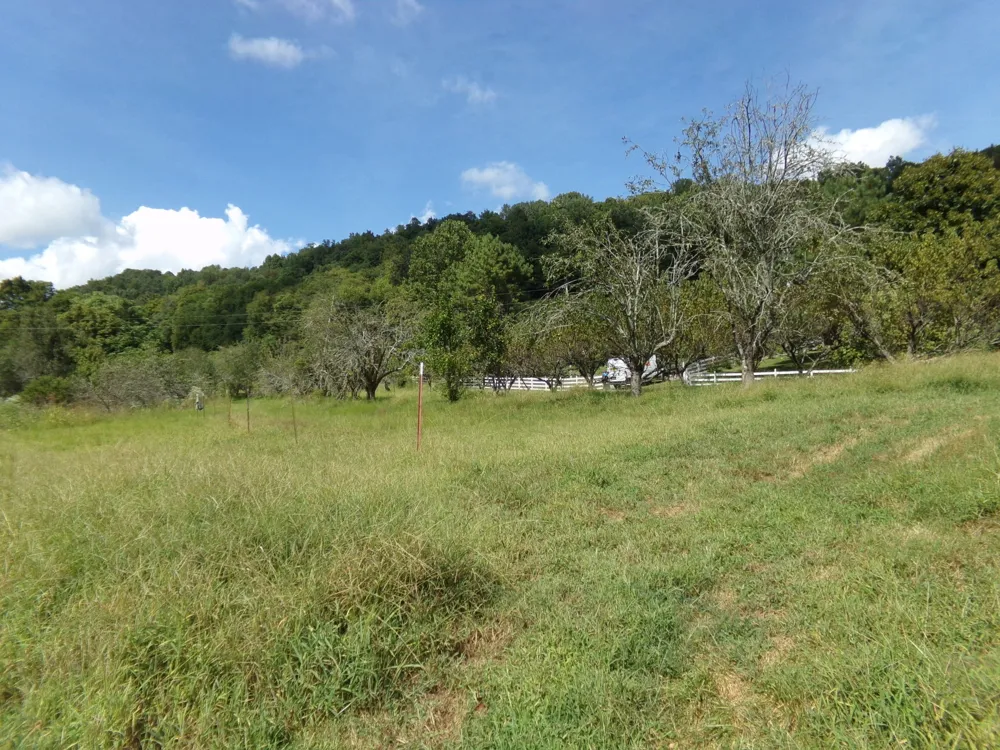 2966 Monte Murrey Rd Lewisburg, TN 37091