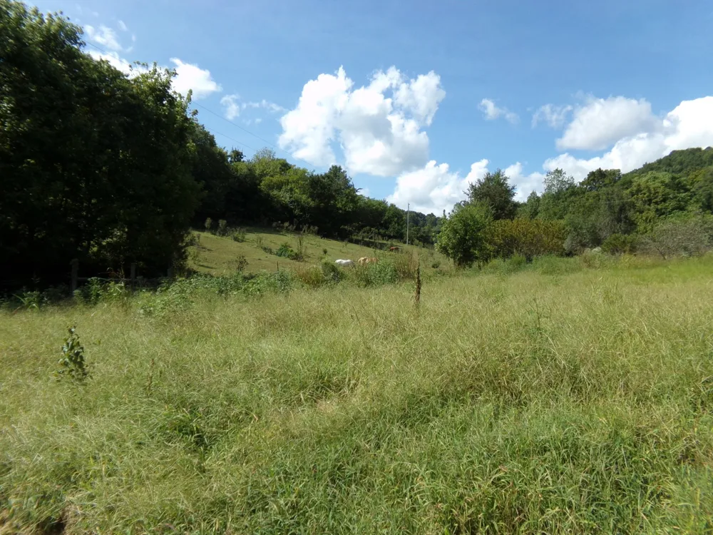 2966 Monte Murrey Rd Lewisburg, TN 37091