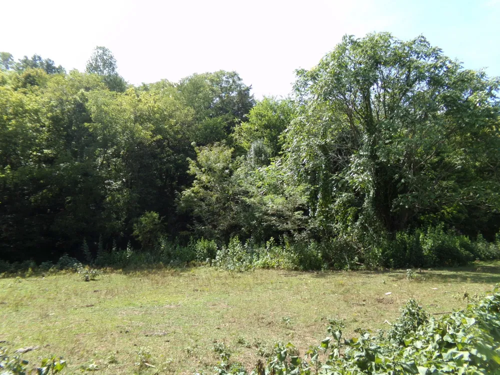 2966 Monte Murrey Rd Lewisburg, TN 37091