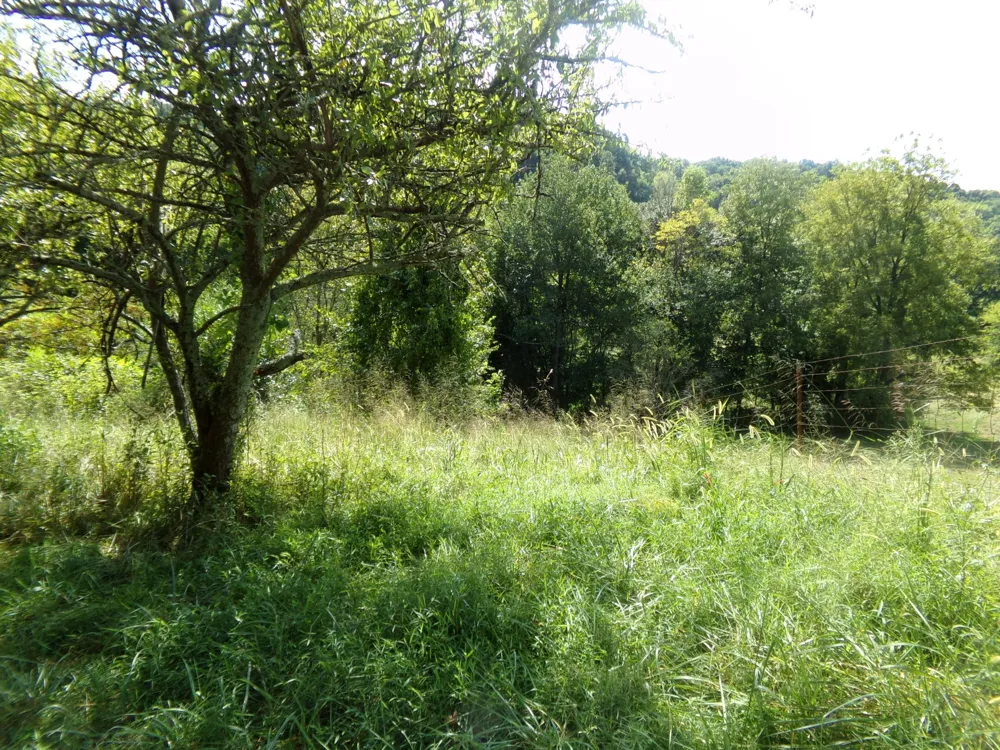 2966 Monte Murrey Rd Lewisburg, TN 37091