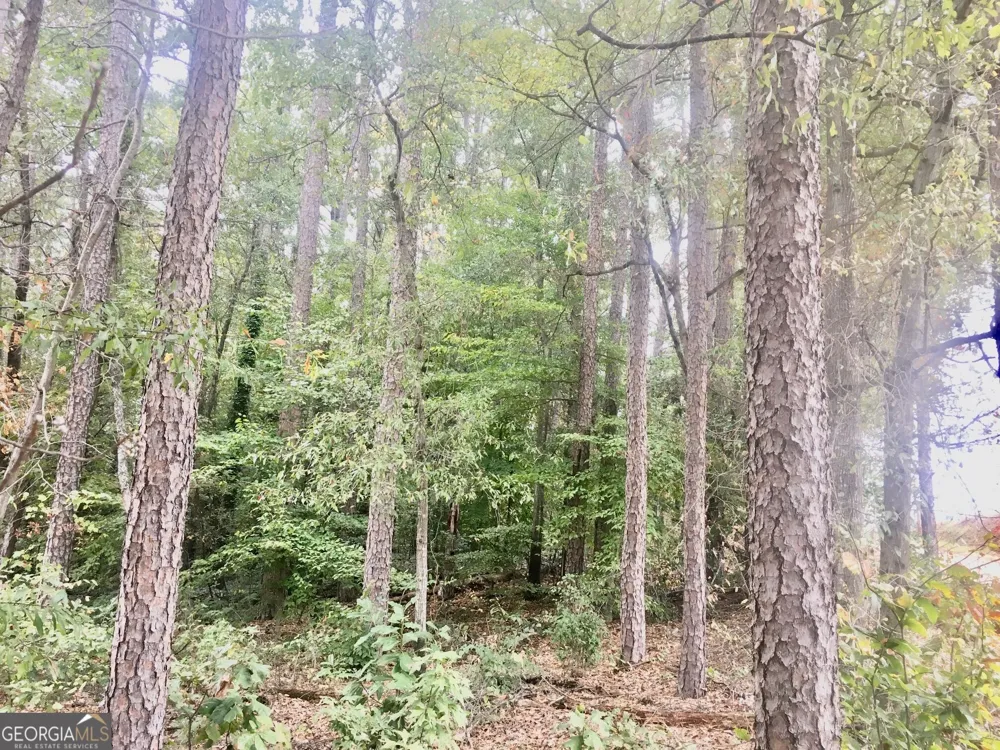 0 HWY 17 ALT Toccoa, GA 30577