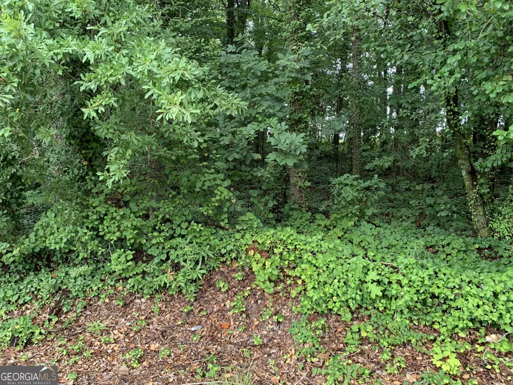 0 HWY 17 ALT Toccoa, GA 30577