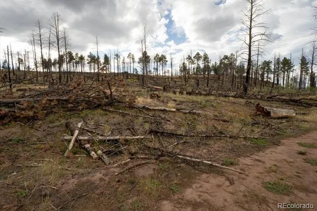 Lot 547 Drey's Place Fort Garland, CO 81133