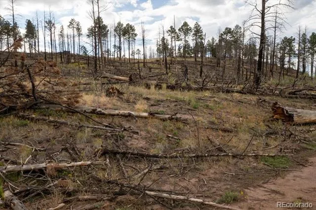 Lot 547 Drey's Place Fort Garland, CO 81133