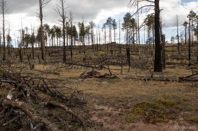 Lot 547 Drey's Place Fort Garland, CO 81133