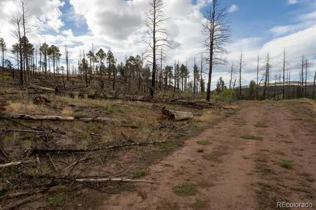 Lot 547 Drey's Place Fort Garland, CO 81133