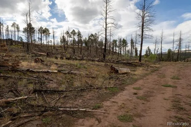 Lot 547 Drey's Place Fort Garland, CO 81133
