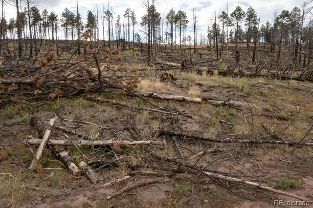 Lot 547 Drey's Place Fort Garland, CO 81133