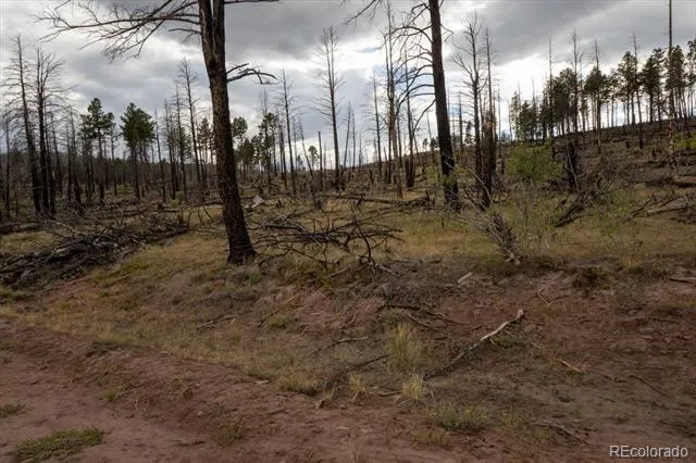 Lot 547 Drey's Place Fort Garland, CO 81133