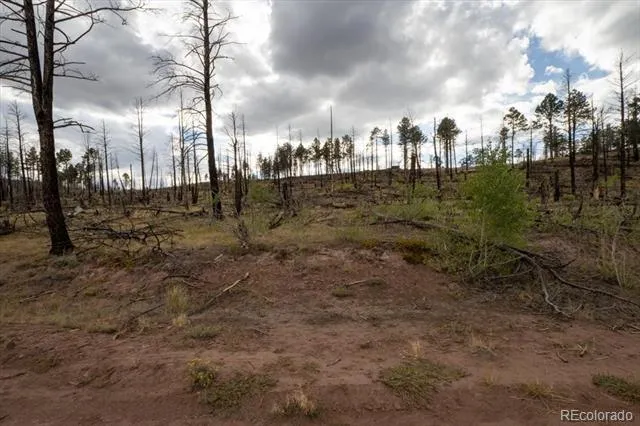 Lot 547 Drey's Place Fort Garland, CO 81133