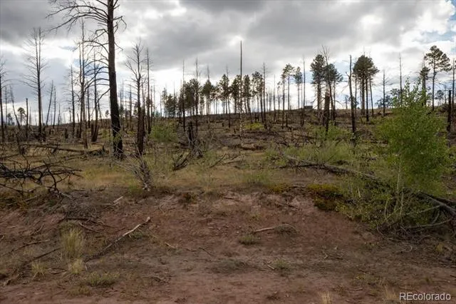 Lot 547 Drey's Place Fort Garland, CO 81133
