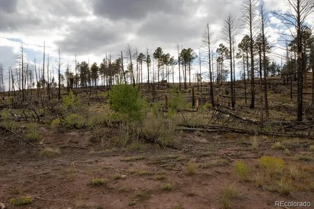 Lot 547 Drey's Place Fort Garland, CO 81133