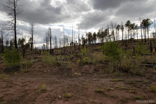 Lot 547 Drey's Place Fort Garland, CO 81133