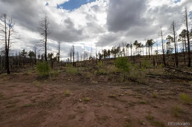Lot 547 Drey's Place Fort Garland, CO 81133