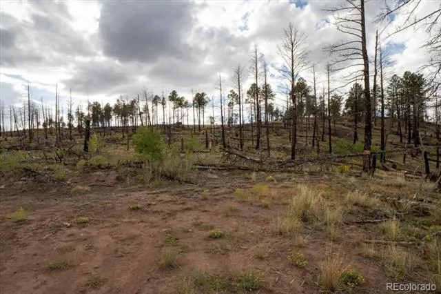 Lot 547 Drey's Place Fort Garland, CO 81133