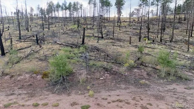 Lot 547 Drey's Place Fort Garland, CO 81133