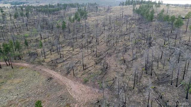 Lot 547 Drey's Place Fort Garland, CO 81133