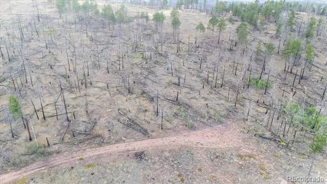 Lot 547 Drey's Place Fort Garland, CO 81133