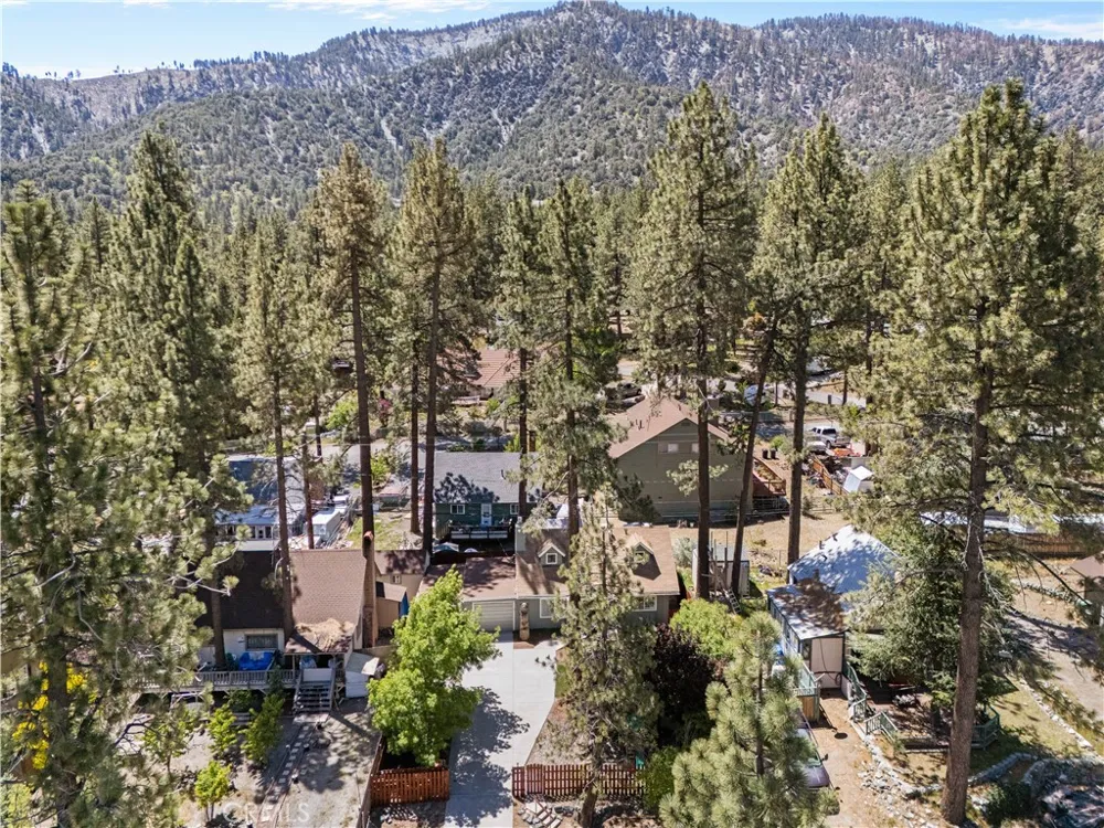 1869 Outer Hwy 2 S Wrightwood, CA 92397
