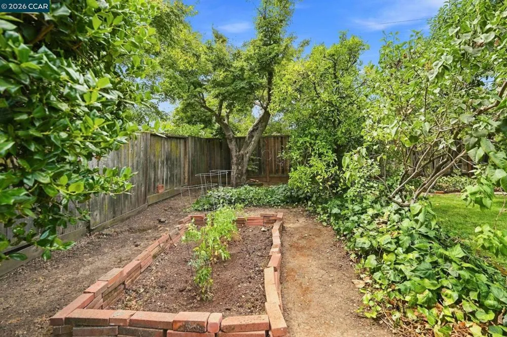 1624 Lynwood Dr Concord, CA 94521