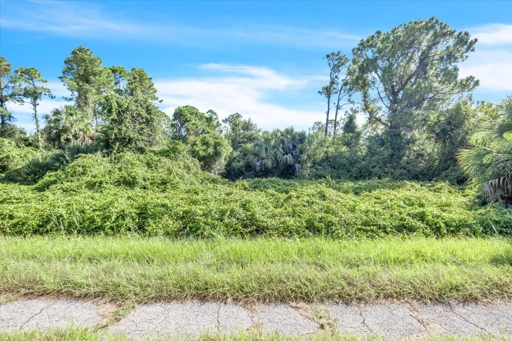 LOT 5 BIGNAY ROAD North Port, FL 34288