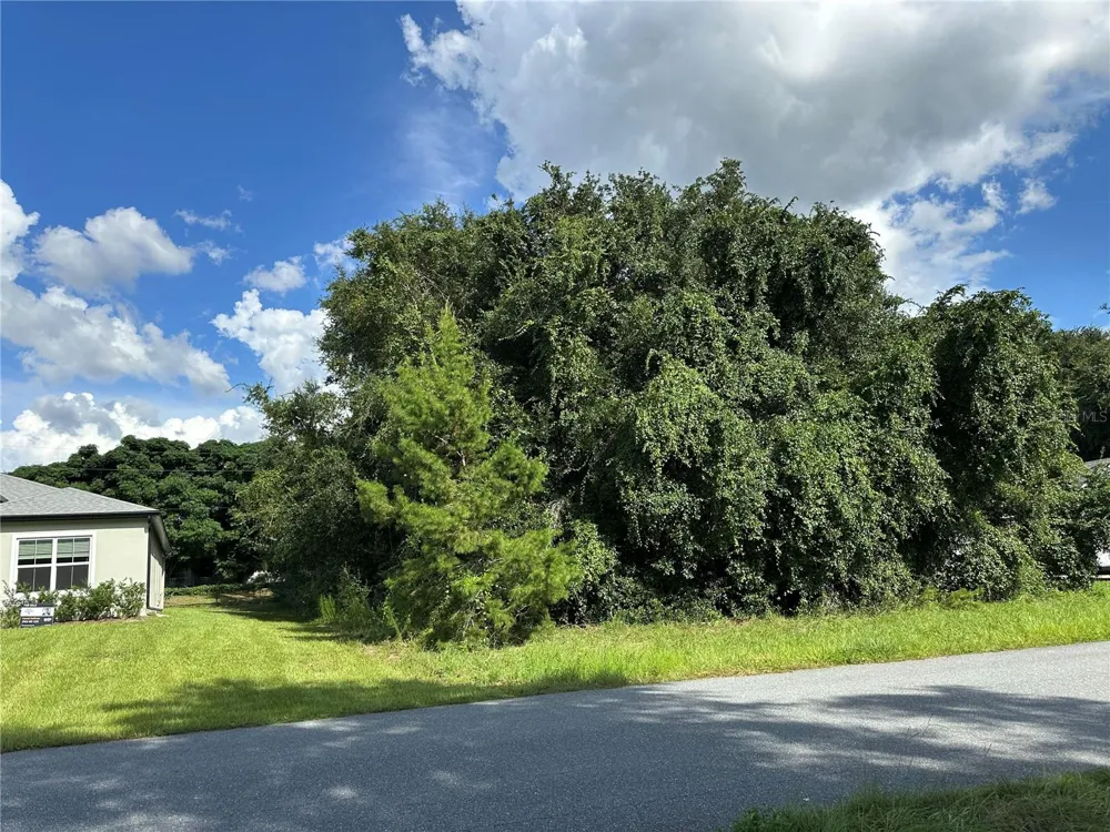000 SW 128TH PLACE ocala, FL 34473