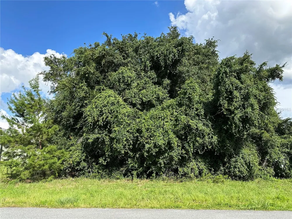 000 SW 128TH PLACE ocala, FL 34473