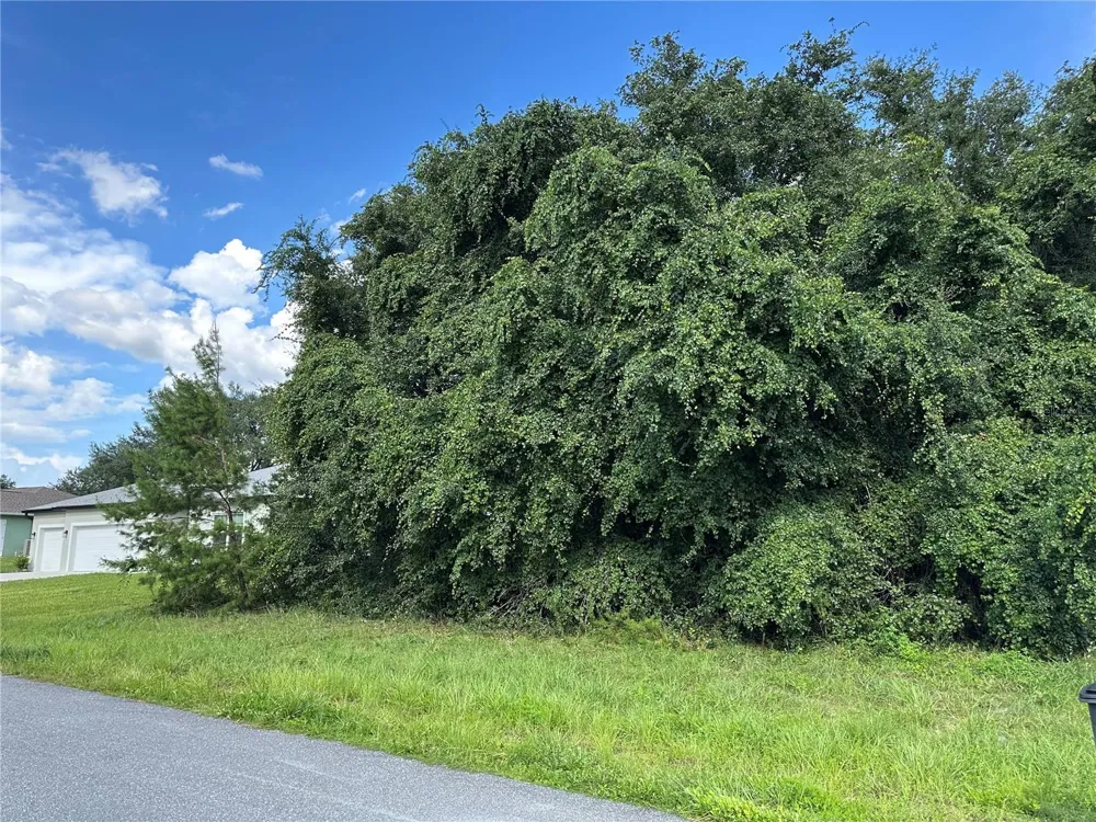 000 SW 128TH PLACE ocala, FL 34473