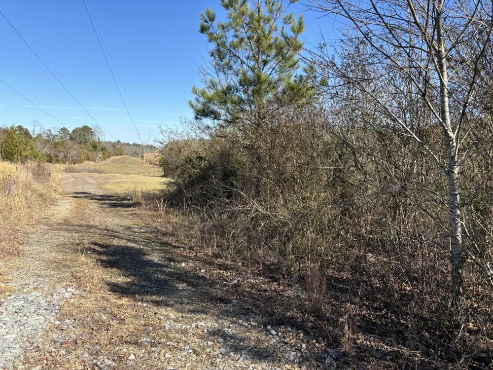 Dividing Ridge Road Spring City, TN 37381