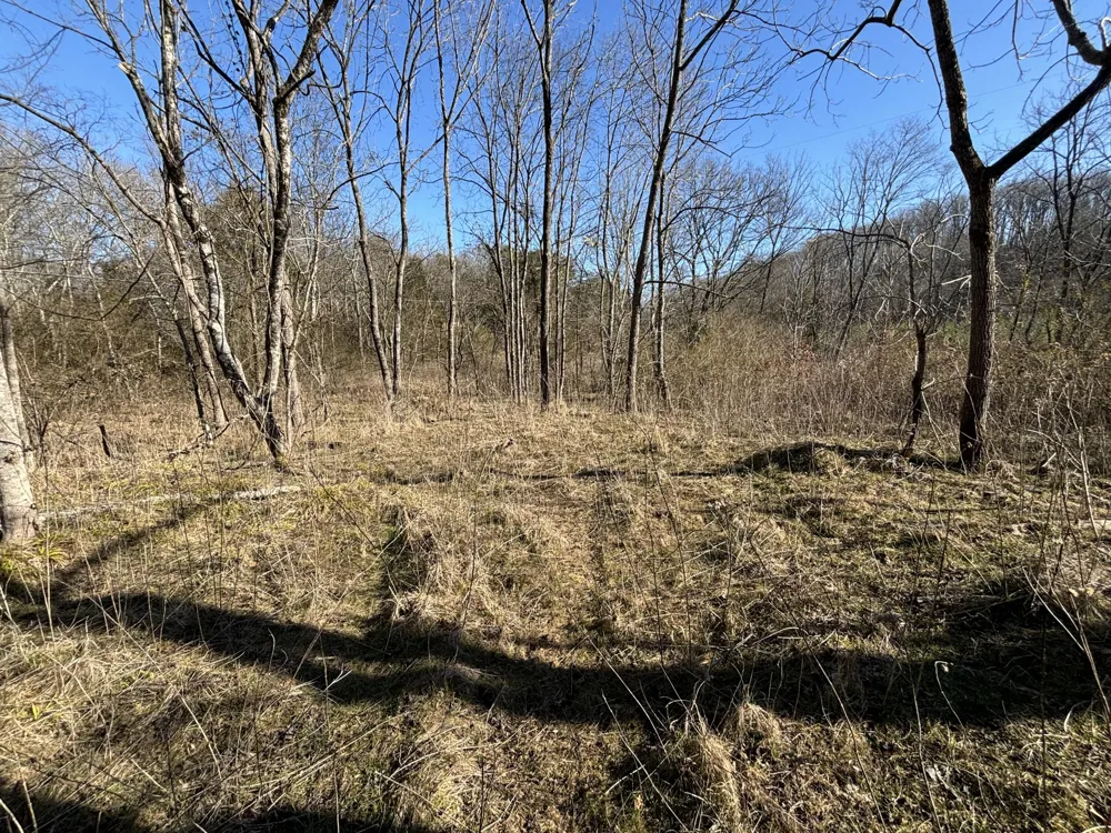 Dividing Ridge Road Spring City, TN 37381
