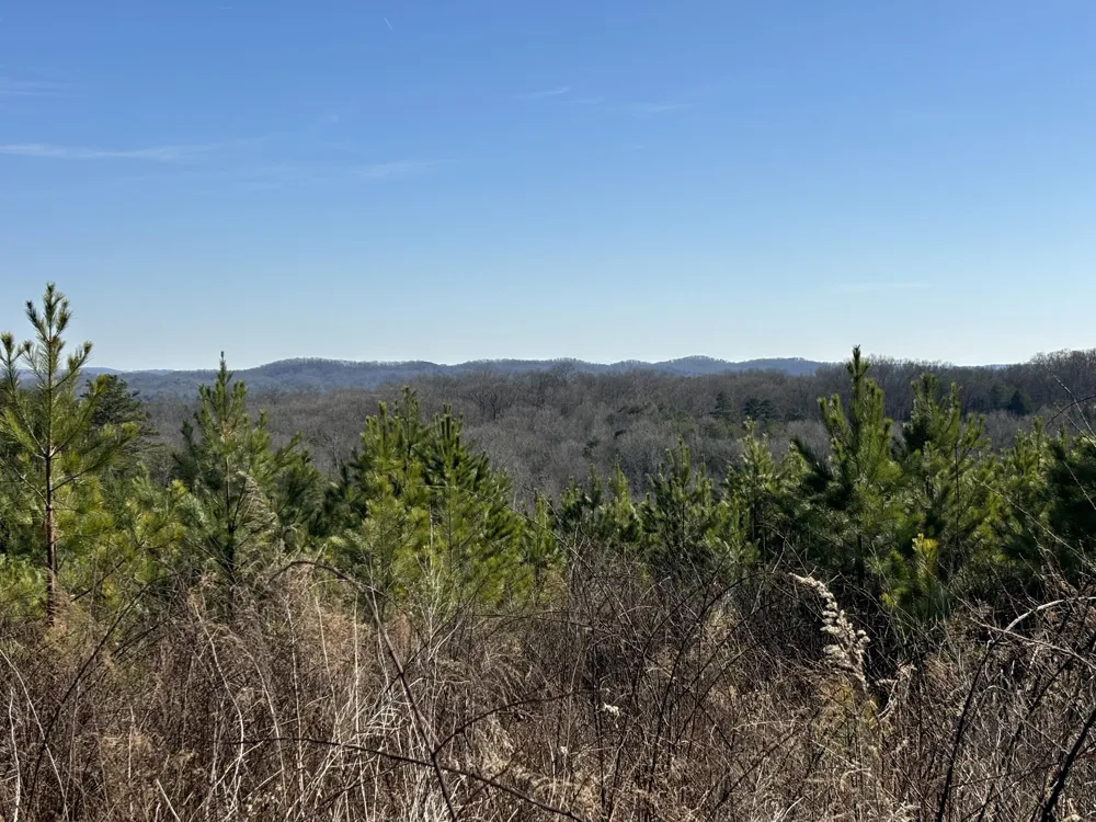 Dividing Ridge Road Spring City, TN 37381