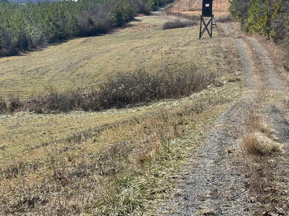 Dividing Ridge Road Spring City, TN 37381