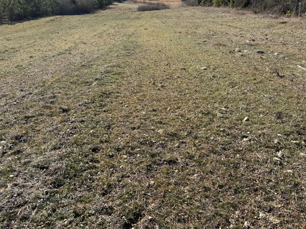 Dividing Ridge Road Spring City, TN 37381