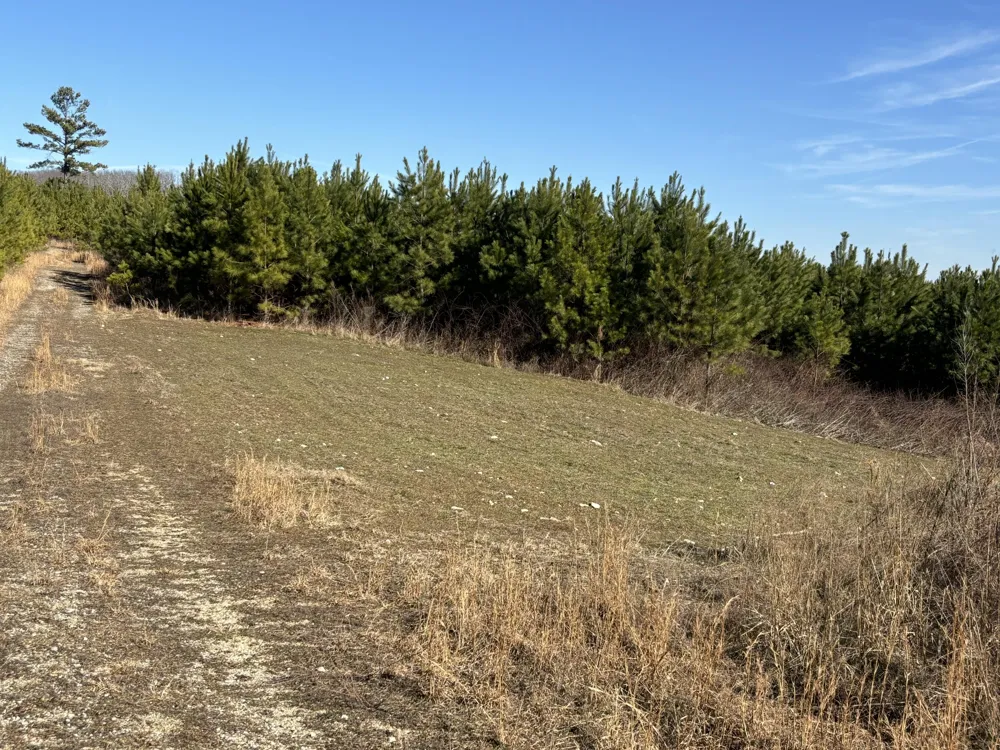 Dividing Ridge Road Spring City, TN 37381
