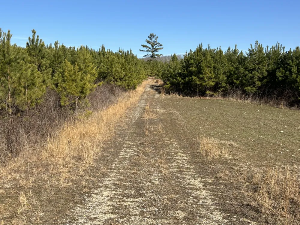 Dividing Ridge Road Spring City, TN 37381