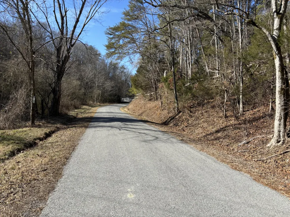 Dividing Ridge Road Spring City, TN 37381