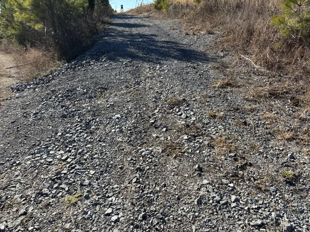 Dividing Ridge Road Spring City, TN 37381