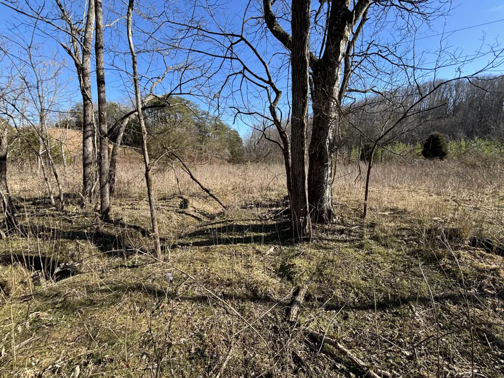 Dividing Ridge Road Spring City, TN 37381