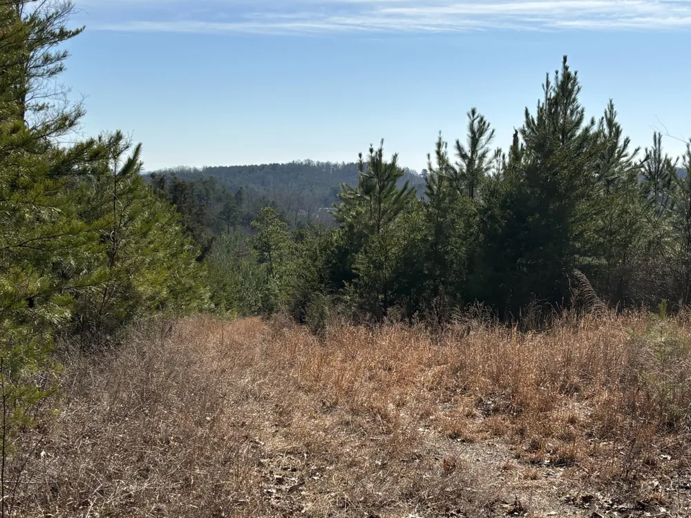 Vaughn Mill Road Evensville, TN 37332