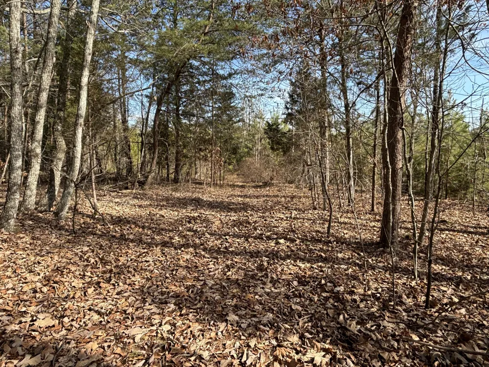 Vaughn Mill Road Evensville, TN 37332