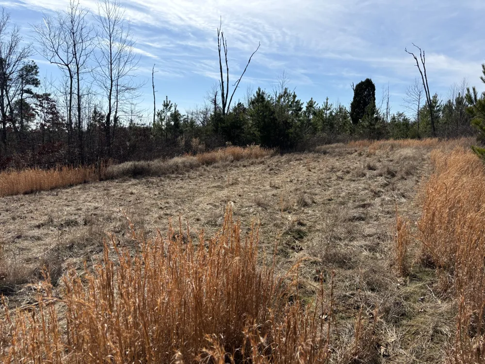 Vaughn Mill Road Evensville, TN 37332