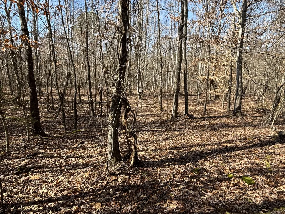 Vaughn Mill Road Evensville, TN 37332