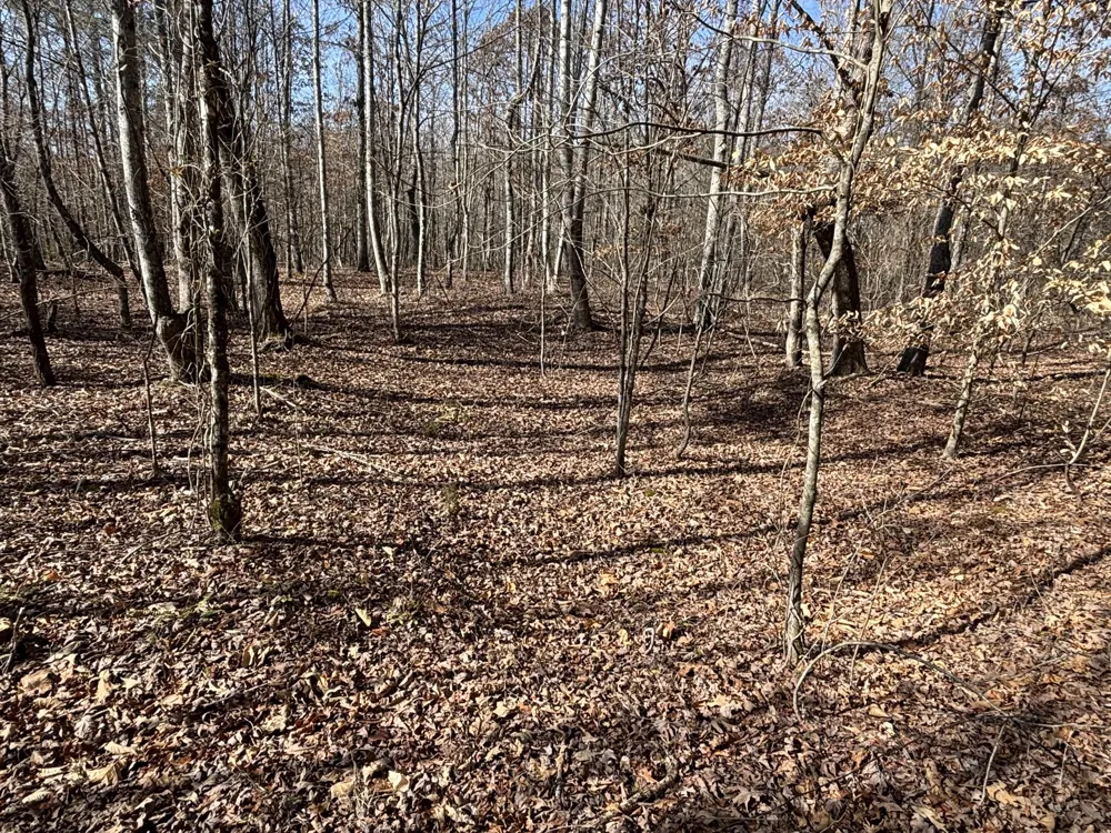 Vaughn Mill Road Evensville, TN 37332